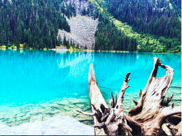 screen-shot-2016-11-07-at-10-09-31-pm