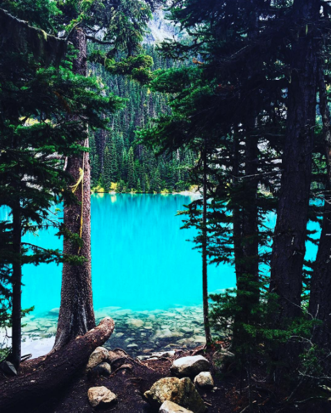 screen-shot-2016-11-07-at-10-10-01-pm