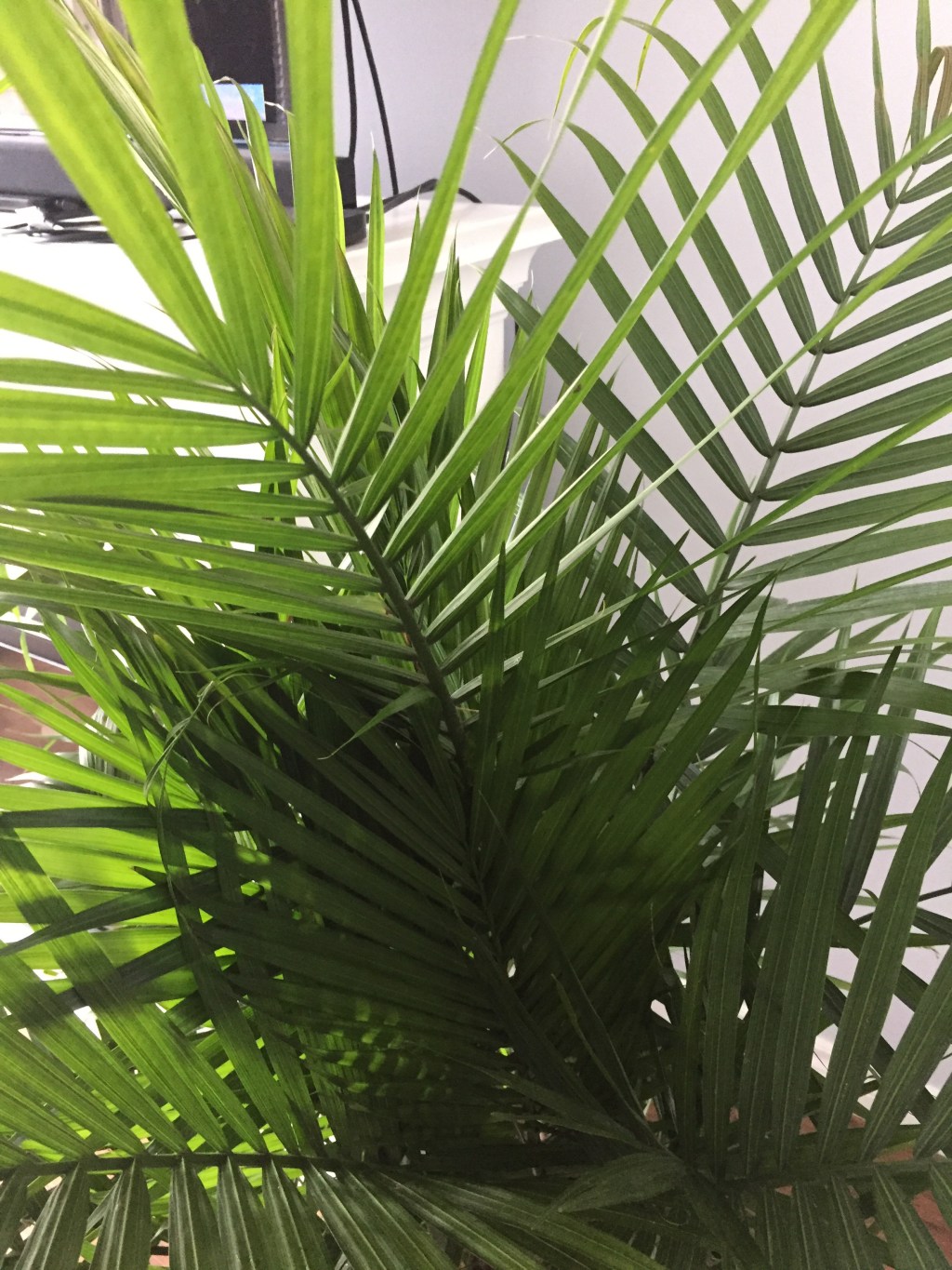 Home: Bits +&nbsp;Bobs