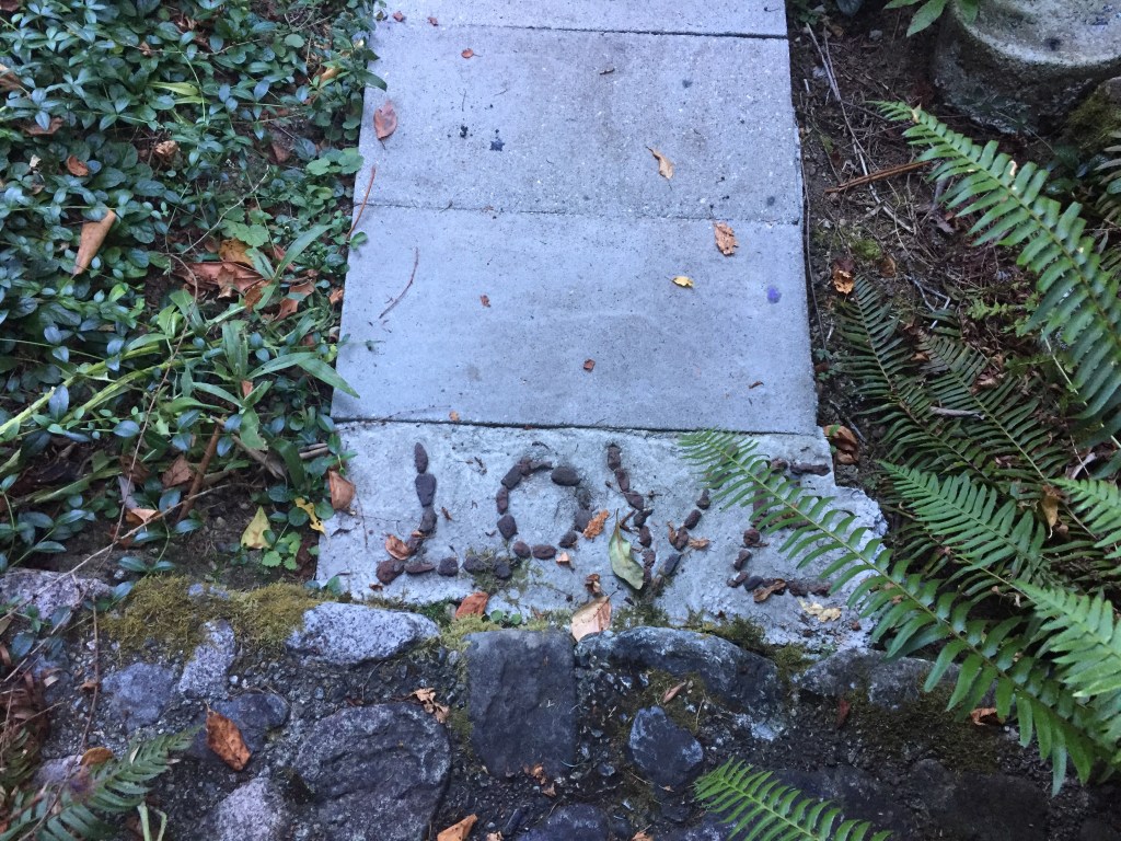 Open Garden – Mission B.C. (True love is beautiful)