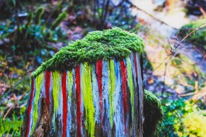 family Day, explore bc, fun, family, together, explore bc, mission, fraser valley, chehalis river, camping, couples, interracial, interracial family, love, kids, outside, outdoors, pnw, pacific northwest,