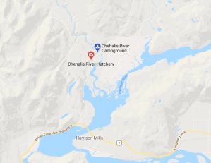 family Day, explore bc, fun, family, together, explore bc, mission, fraser valley, chehalis river, camping, couples, interracial, interracial family, love, kids, outside, outdoors, pnw, pacific northwest,