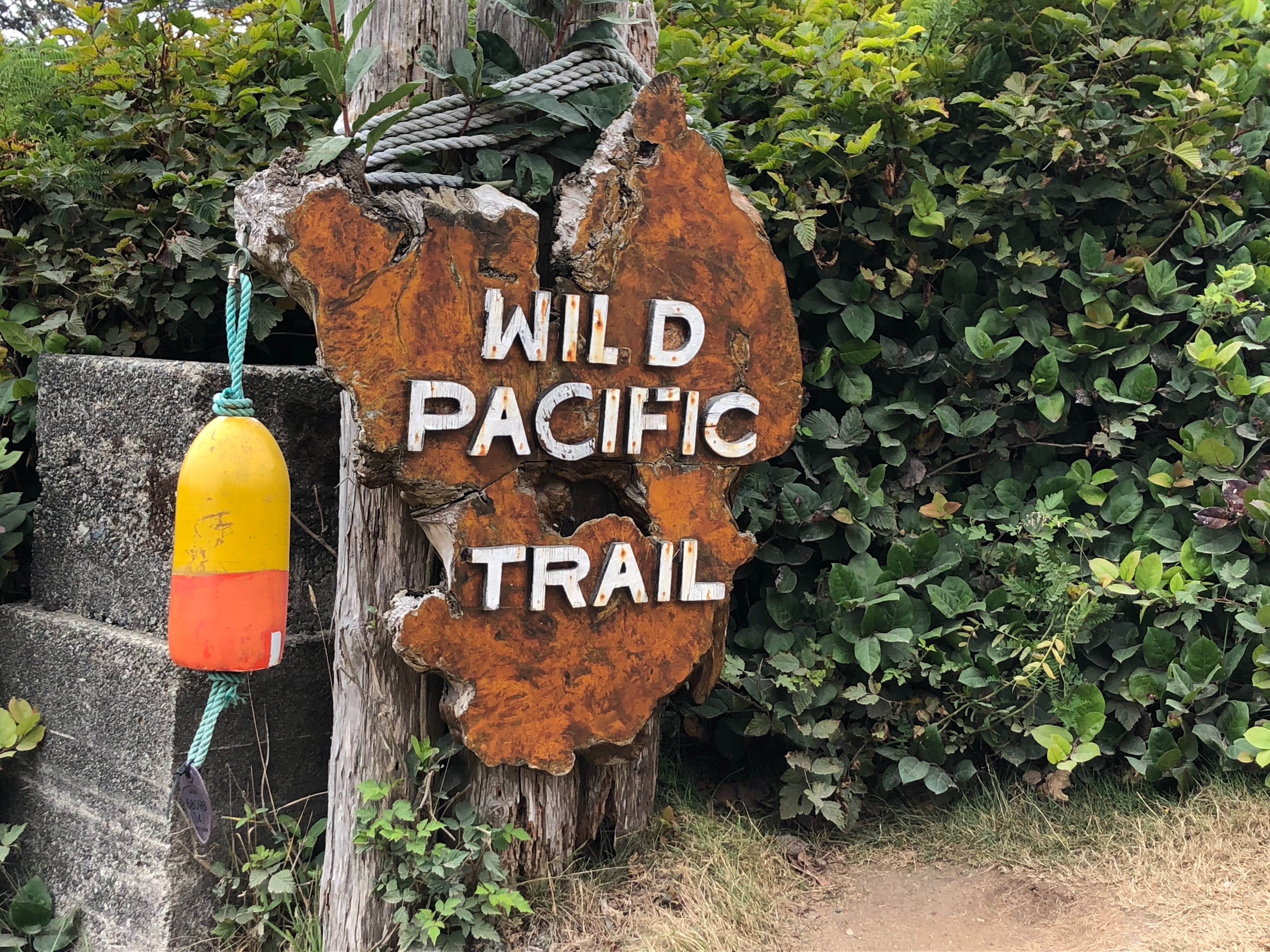 Ucluelet, tourism ucluelet, tourism tofino, wild pacific trail, ocean, beach, pacific ocean,