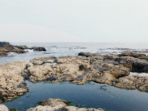 Ucluelet, tourism ucluelet, tourism tofino, wild pacific trail, ocean, beach, pacific ocean,