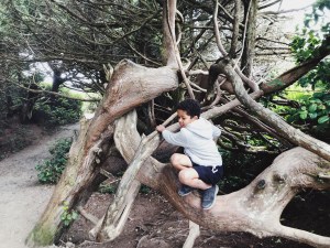 Tofino, culinary food, tofino, fine dining, pizza, wood oven pizza, freshly made, tofino beaches, beach, pacific rim national park, pacific ocean, endless beach, vacation, cold water, kids on vacation, canadian vacation, vancouver blogger,rock, ucluelet,