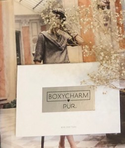 natoya ellis, mission bc blogger, fraser valley blogger,mascara, beatuy, mystery bag, pur cosmetics, bloggers of canada, subscription boxes, boxy charm, palette, eyeshadow, cool colours, canadian bloggers, beauty blogger, beauty writer, content creator, content creater, review, product review, product tester.