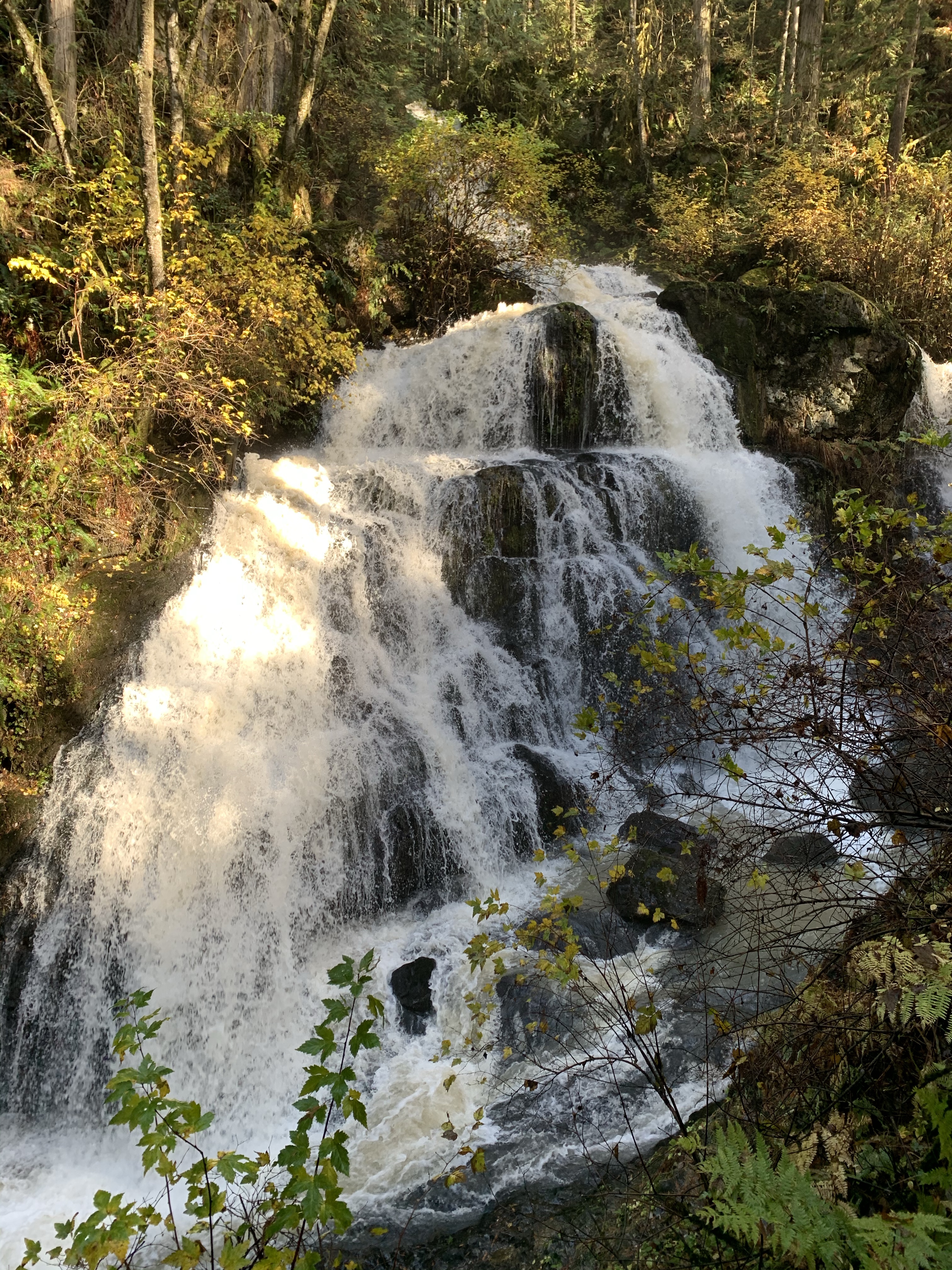 Steelhead Falls, Mission, B.C., Mission B.C., Fraser Valley, Waterfall,